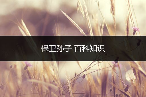 保卫孙子 百科知识