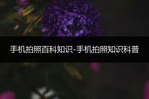 手机拍照百科知识-手机拍照知识科普