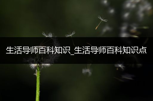 生活导师百科知识_生活导师百科知识点