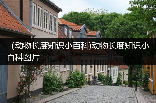 （动物长度知识小百科)动物长度知识小百科图片
