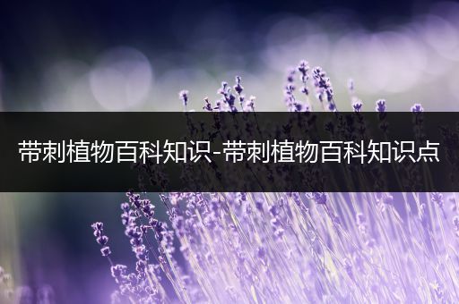 带刺植物百科知识-带刺植物百科知识点