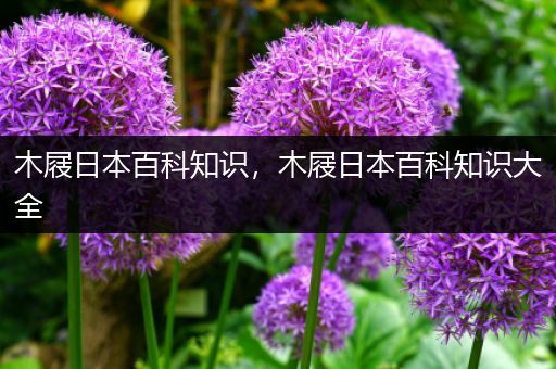 木屐日本百科知识，木屐日本百科知识大全