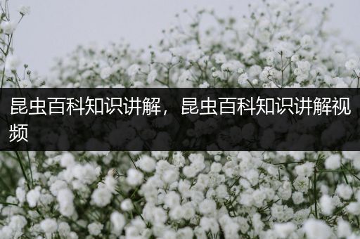 昆虫百科知识讲解，昆虫百科知识讲解视频