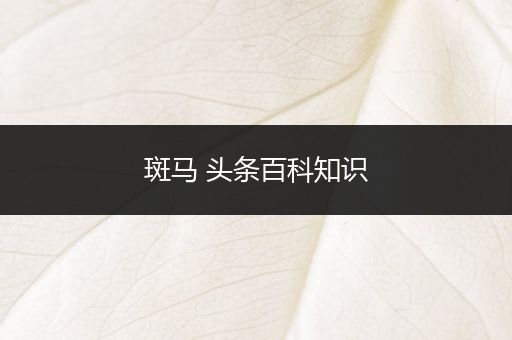 斑马 头条百科知识