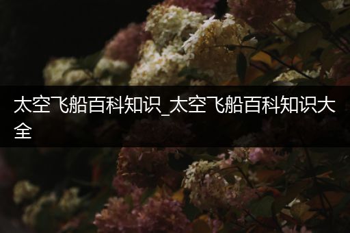 太空飞船百科知识_太空飞船百科知识大全