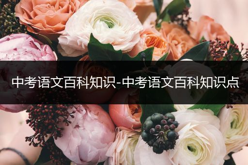 中考语文百科知识-中考语文百科知识点