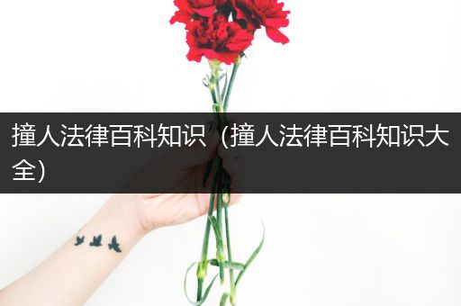 撞人法律百科知识（撞人法律百科知识大全）