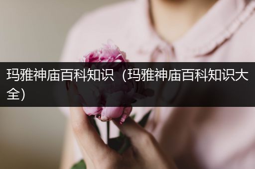 玛雅神庙百科知识（玛雅神庙百科知识大全）