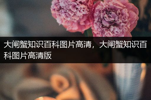 大闸蟹知识百科图片高清，大闸蟹知识百科图片高清版