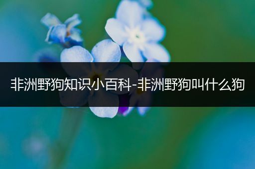 非洲野狗知识小百科-非洲野狗叫什么狗