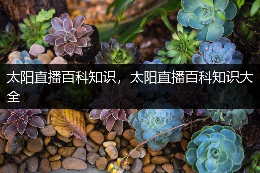 太阳直播百科知识，太阳直播百科知识大全