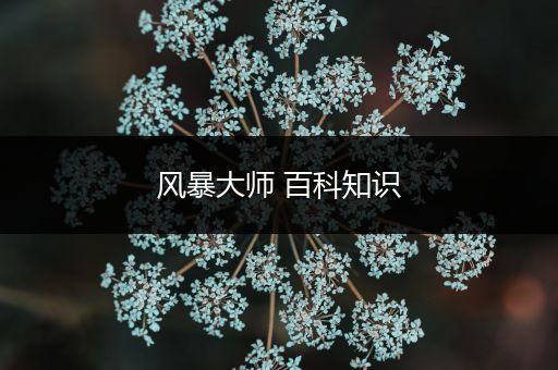 风暴大师 百科知识