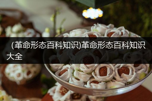 （革命形态百科知识)革命形态百科知识大全