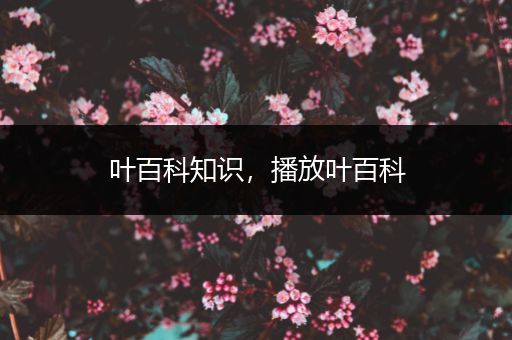 叶百科知识，播放叶百科