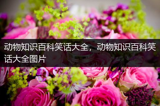 动物知识百科笑话大全，动物知识百科笑话大全图片