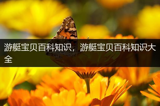 游艇宝贝百科知识，游艇宝贝百科知识大全