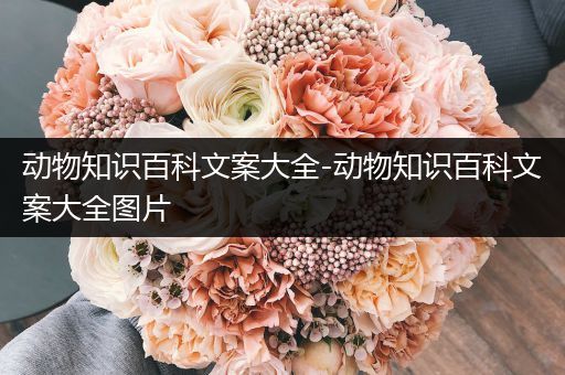 动物知识百科文案大全-动物知识百科文案大全图片