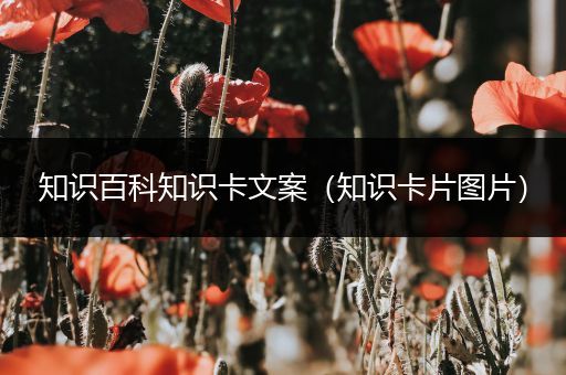 知识百科知识卡文案（知识卡片图片）