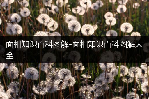 面相知识百科图解-面相知识百科图解大全
