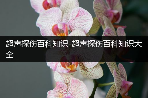 超声探伤百科知识-超声探伤百科知识大全