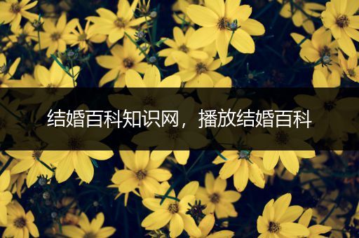 结婚百科知识网，播放结婚百科