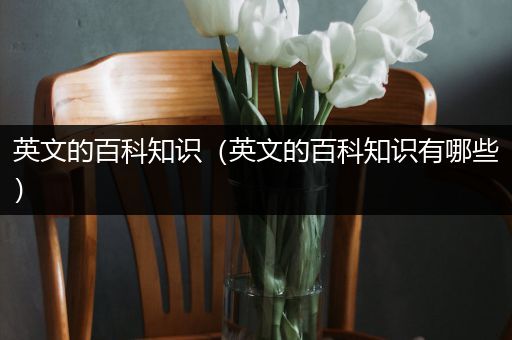 英文的百科知识（英文的百科知识有哪些）