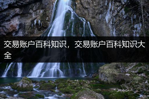 交易账户百科知识，交易账户百科知识大全