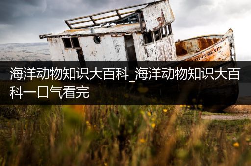 海洋动物知识大百科_海洋动物知识大百科一口气看完