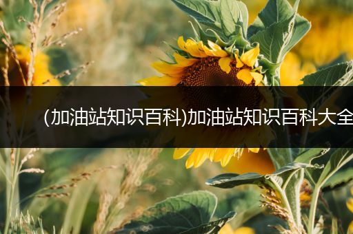 （加油站知识百科)加油站知识百科大全