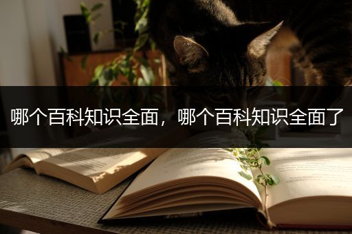 哪个百科知识全面，哪个百科知识全面了