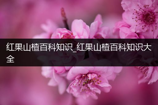红果山楂百科知识_红果山楂百科知识大全