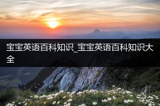 宝宝英语百科知识_宝宝英语百科知识大全
