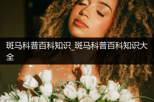 斑马科普百科知识_斑马科普百科知识大全