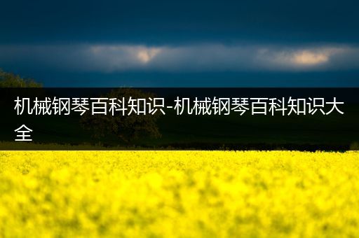 机械钢琴百科知识-机械钢琴百科知识大全
