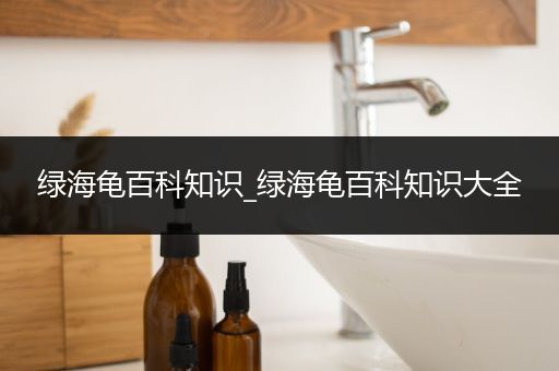 绿海龟百科知识_绿海龟百科知识大全