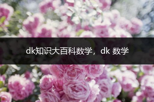 dk知识大百科数学，dk 数学