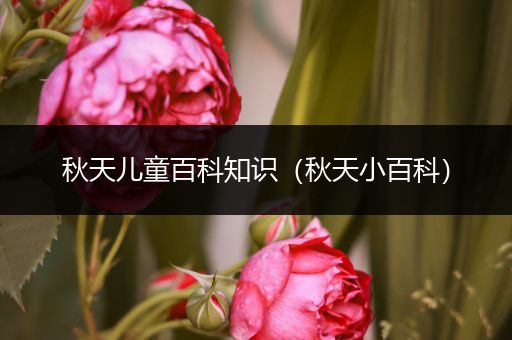 秋天儿童百科知识（秋天小百科）