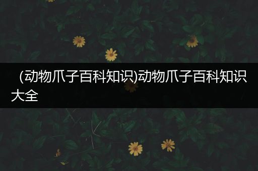 （动物爪子百科知识)动物爪子百科知识大全