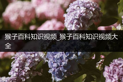 猴子百科知识视频_猴子百科知识视频大全