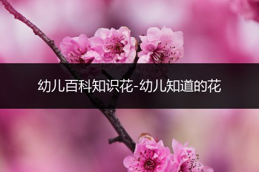 幼儿百科知识花-幼儿知道的花