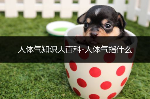 人体气知识大百科-人体气指什么