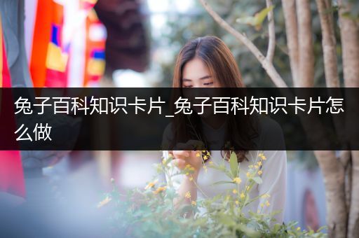 兔子百科知识卡片_兔子百科知识卡片怎么做