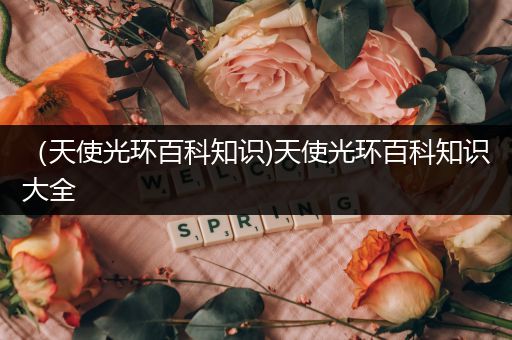 （天使光环百科知识)天使光环百科知识大全