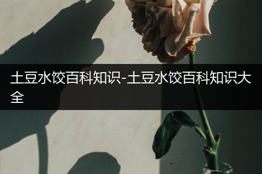 土豆水饺百科知识-土豆水饺百科知识大全
