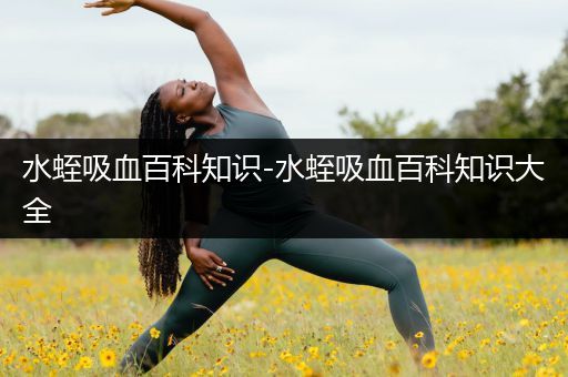 水蛭吸血百科知识-水蛭吸血百科知识大全