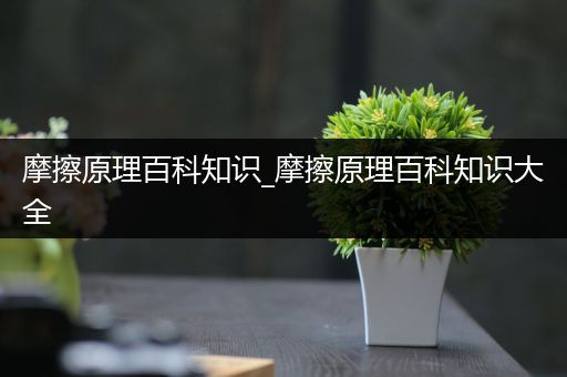摩擦原理百科知识_摩擦原理百科知识大全