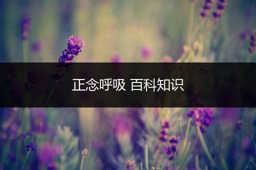 正念呼吸 百科知识