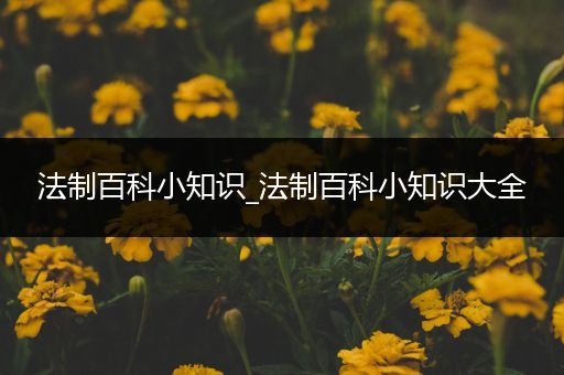 法制百科小知识_法制百科小知识大全