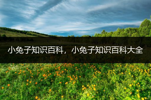小兔子知识百科，小兔子知识百科大全