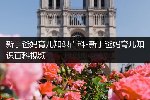 新手爸妈育儿知识百科-新手爸妈育儿知识百科视频